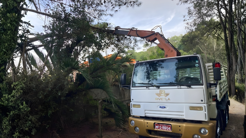 Saiba por onde começar na jardinagem e como manter seu jardim saudável e bonito no dia a dia, segundo Altevir Seidel.