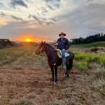 Descubra dicas práticas de jardinagem para iniciantes e aprenda como cuidar do seu jardim de forma simples e eficiente, com Altevir Seidel.