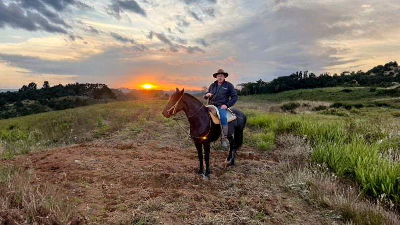 Descubra dicas práticas de jardinagem para iniciantes e aprenda como cuidar do seu jardim de forma simples e eficiente, com Altevir Seidel.